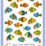Logic Puzzle Game Children Adults Find Two Identical Fishes For Printable Logic Game